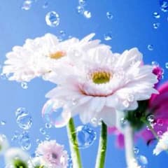 れーな様専用になります☆のサムネイル