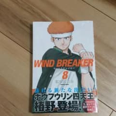 WIND BREAKER(8)のサムネイル