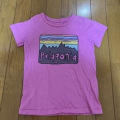 patagonia パタゴニア　Tシャツ　5Tのサムネイル