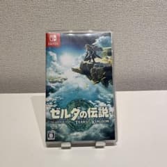 젤다의 전설 티어즈 오브 더 킹덤 Switch 소프트