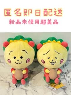 コジコジ COJICOJI ぬいぐるみ お茶の時間BIGぬいぐるみ２種類