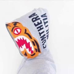 ア ベイシング エイプ タイガーのサムネイル