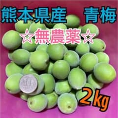 【ひろみ様】完全無農薬 熊本県産　青梅　梅の実　2キロ　【梅酒にどうぞ♪】のサムネイル