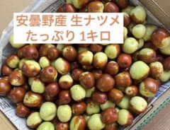 ⁠【安曇野産】採れたて生ナツメ 1kg　農薬不使用⁠のサムネイル