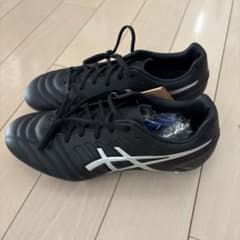 ASICS DS LIGHT GAIN ST WIDE 26.0cmのサムネイル