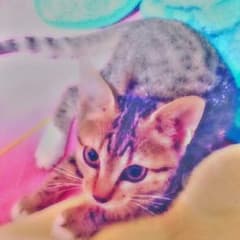 るんちょ†様専用のサムネイル
