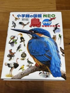 小学校の図鑑NEO 鳥 DVDつきのサムネイル