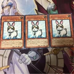 レスキューラビット 3枚セットのサムネイル