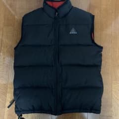 希少　旧ロゴNIKE acg ダウンベスト刺繍ロゴのサムネイル