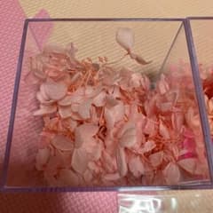 紫陽花ドライフラワースケルトンリーフのサムネイル