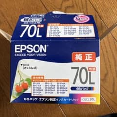 EPSON IC6CL70L 5色セットのサムネイル