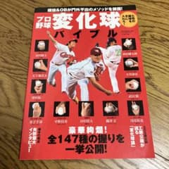 プロ野球変化球バイブル : 七色の魔球を手に入れろ!のサムネイル