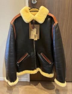 m95168160243_1.jpg?1766215486