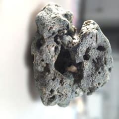 盆栽の添え石として珊瑚(岩)のサムネイル