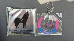 m*e様 ウェルカムチャンス　メイショウタバル　キーホルダー　即日配送のサムネイル