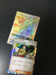 ポケモンカード エリカのおもてなし ゼクロム&ピカチュウのサムネイル