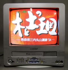 ビデオ内蔵型ブラウン管カラーテレビ シャープ VT-4FJ3 稼働品 - メルカリ