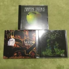 seeda アルバム 2枚 / CCG13のサムネイル