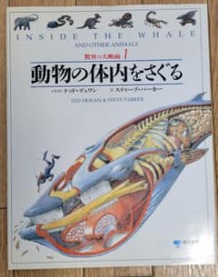動物の体内をさぐる　驚異の大断面１＋洋書絵本１冊のサムネイル