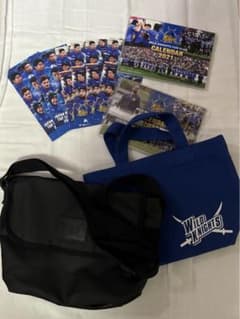 m95193371815_1.jpg?1711638508