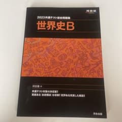 2023共通テスト総合問題集 世界史Bのサムネイル