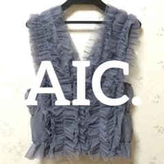 AIC. Tulle Bustier