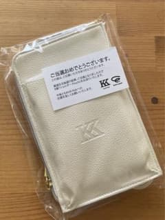 KinKiKids  Pアルバム ショルダーpouchのサムネイル