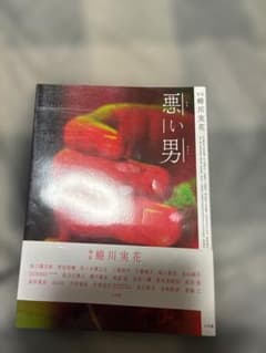 蜷川実花 写真集 悪い男のサムネイル
