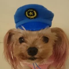 犬のおまわりさん  帽子  ガチャのサムネイル