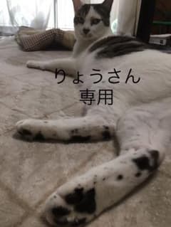 ノースフェイスフリースのサムネイル