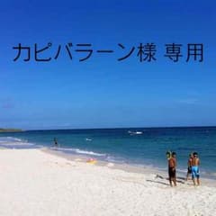 Turbo樹脂エンブレムです。のサムネイル