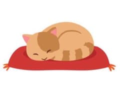 うさ麻呂様　専用　猫　ぬいぐるみのサムネイル