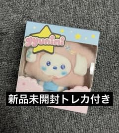 zb1 zeroni ぬいぐるみ キーホルダー 星 トレカ ギュニニ - メルカリ