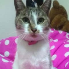 蓮姫様♡専用のサムネイル