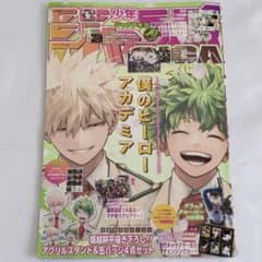 ジャンプGIGA 2024 SPRING ヒロアカ 表紙 切り抜き 付録 - メルカリ