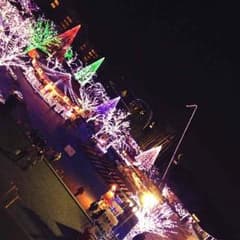 たく様専用♪のサムネイル