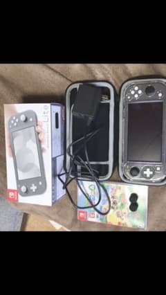 スイッチライト　グレーのサムネイル
