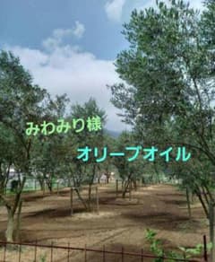 小豆島　オリーブオイルのサムネイル