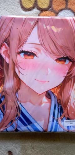 斉藤　抱き枕カバー　秘湯