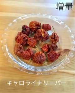 増量セール ドライ ホール キャロライナリーパー 10個以上 唐辛子のサムネイル