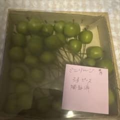 ミニりんご 青 33ピースのサムネイル
