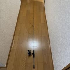 【GO HIBINO様 専用】DAIWA 月下美人 MXMB 72UL-S-5のサムネイル