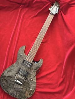 日本製・極美品FERNANDES APG-85S 2007年製 サスティナー搭載 日本製・極美品FERNANDES APG-85S 2007年製 サスティナー搭載 - メルカリ