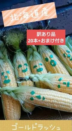 北海道産　スイートコーン　とうもろこし　訳あり品20本のサムネイル