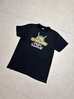 80's PITTSBURGH STEELERS Tシャツのサムネイル