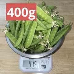絹さや 400gのサムネイル