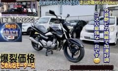 SUZUKI GSR250 走行距離45,676kmのサムネイル