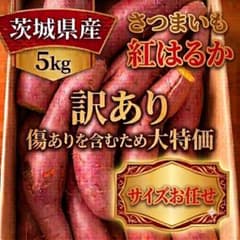 茨城県産さつまいも 紅はるか 5kg サイズお任せ 訳ありのサムネイル