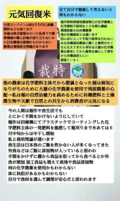 今の稲作と人間の食は同じみたい ７年産コシヒカリ 玄米10㎏ 特別栽培①有機栽培 今の稲作と人間の食は同じみたい 7年産コシヒカリ 玄米10㎏ 特別栽培