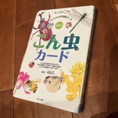 くもんの自然図鑑カード こん虫カード 幼児からのサムネイル